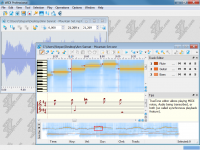 WIDI Recognition System